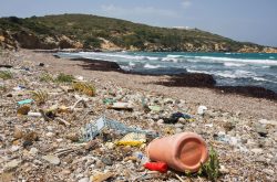 Jakie śmieci na plaży można spotkać najczęściej?