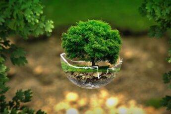 Jak dbać o środowisko? 10 praktycznych porad