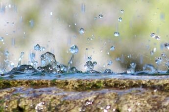 Kwaśne deszcze – definicja, zapobieganie, przyczyny i skutki